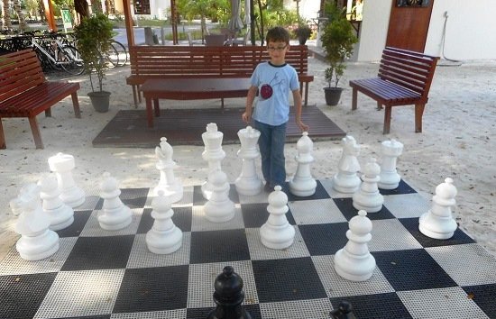 ICA Editor and Staff Writer Message